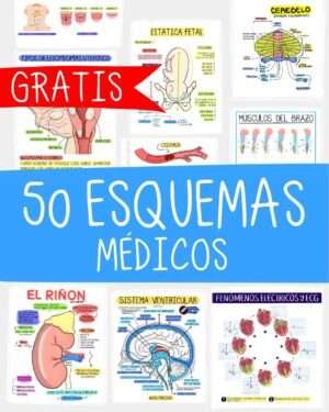 100 esquemas Médicos