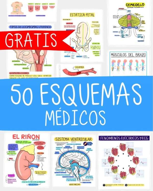 100 esquemas Médicos